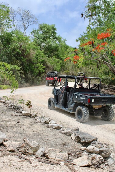 Picture 12 for Activity Playa del Carmen: Riviera Maya Buggy Tour with Cenote Swim 2