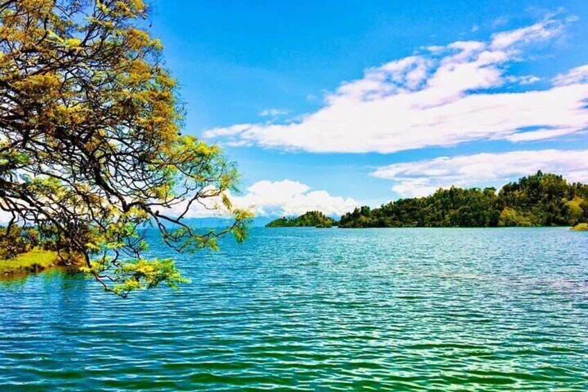 A calm lake with clear blue water, a tree on the left, and a forested island in the distance. 3