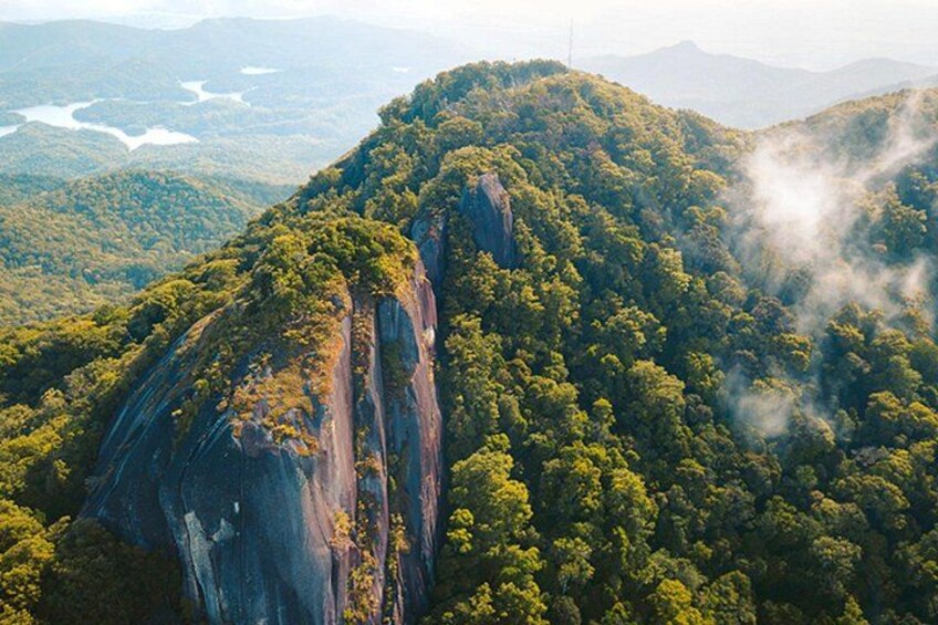 60 minute Reef and Rainforest Scenic Flight 2