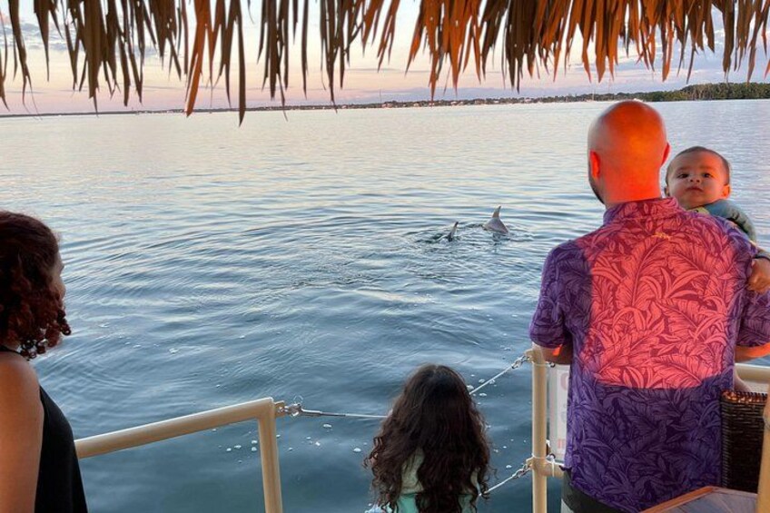 Een man in een paars shirt houdt een kind vast en kijkt naar dolfijnen in het water vanaf een boot. 2