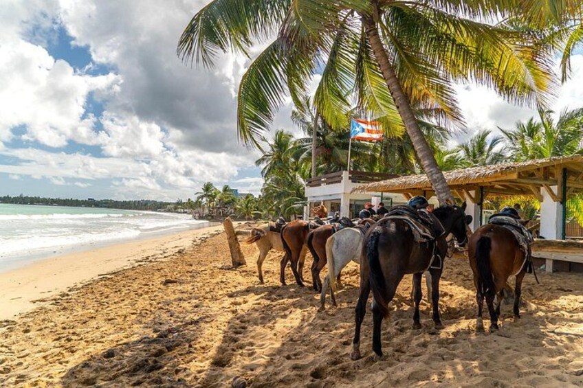 Stop at the Tropical Bar 2