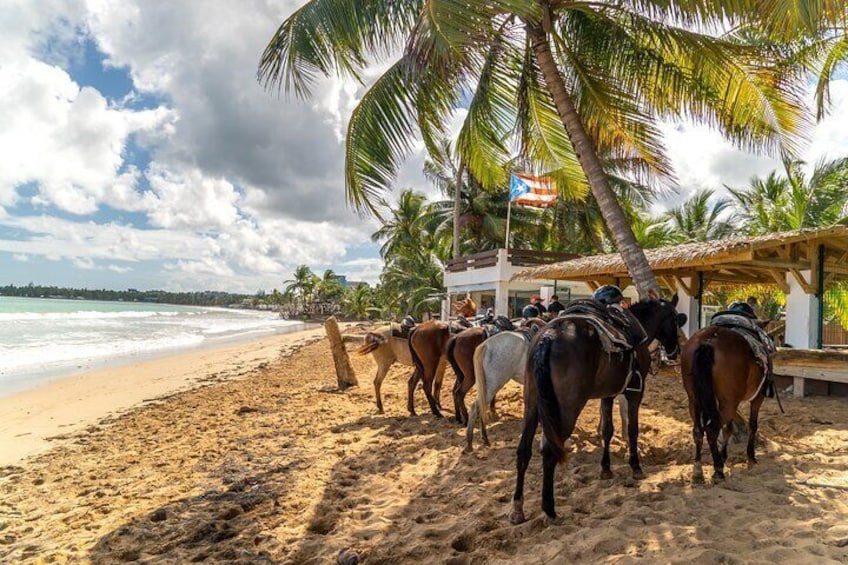 Una playa con caballos y jinetes, palmeras y una cabaña. 2