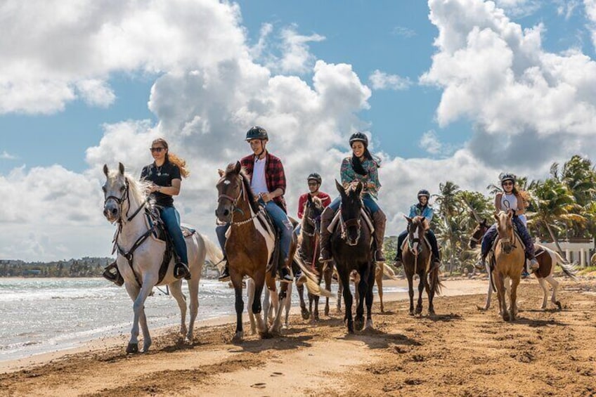 Un grupo de personas montando a caballo por una playa, con palmeras y el océano al fondo. 4