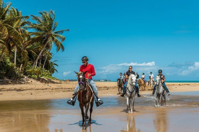 People riding horses on a beach with palm trees. 1