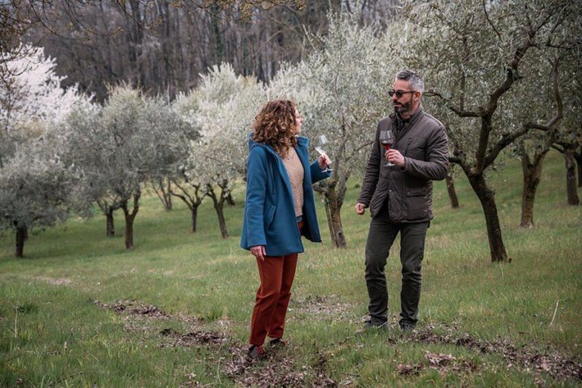 Visit to an organic winery followed by wine tasting | Artemilia Guided Tours 3