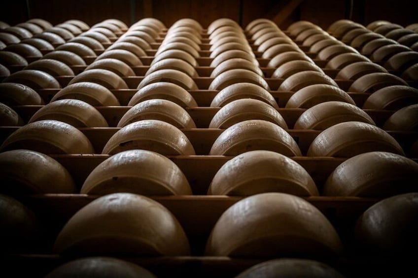 Parmigiano Reggiano cheese warehouse | Artemilia Guided Tours 2