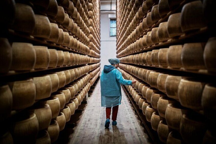 Private Parmigiano Balsamic Parma Ham and Wine Tasting Tour 5