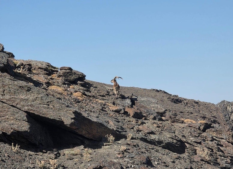 Picture 12 for Activity Sierra Nevada Hiking Adventure – Up to 3,000 Meters 3