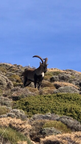 Picture 4 for Activity Sierra Nevada Hiking Adventure – Up to 3,000 Meters 5