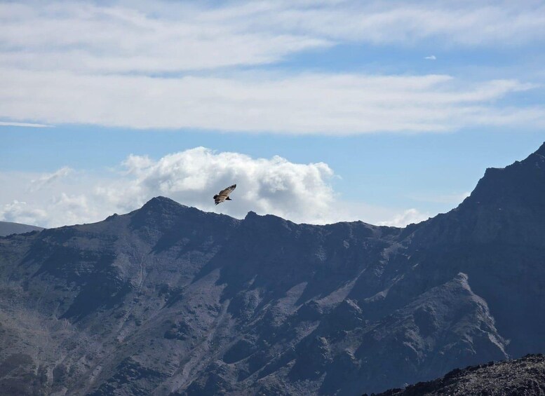 Picture 10 for Activity Sierra Nevada Hiking Adventure – Up to 3,000 Meters 2