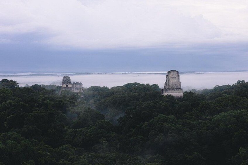 A forested landscape with ancient ruins and a distant view of the ocean. 2
