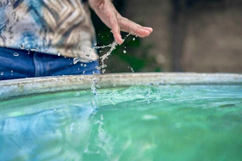 Hand brushing fountain water
Touch Alhambra’s legacy—its fountains, still flowing, connect visitors to centuries of royal ritual and beauty. 2