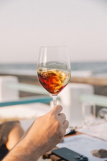 A hand holding a wine glass with a view of the ocean in the background. 5