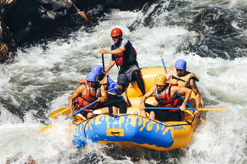 Picture 2 for Activity Buena Vista: Browns Canyon Half-Day Whitewater Rafting Trip 2