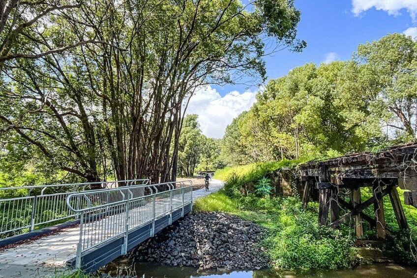 Un puente sobre un arroyo, rodeado de árboles y follaje. 2