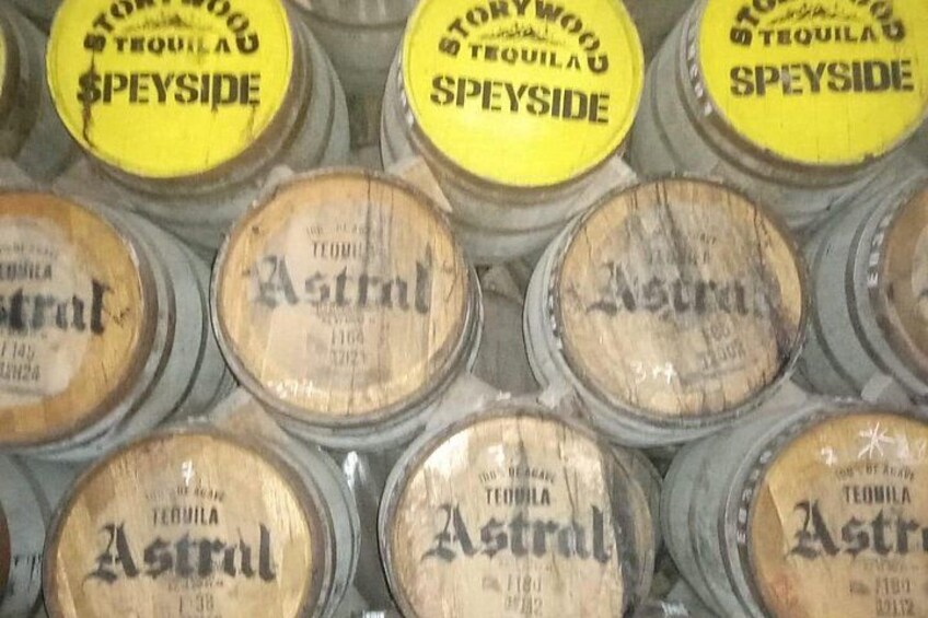Private Tequila Tour in Guadalajara 3