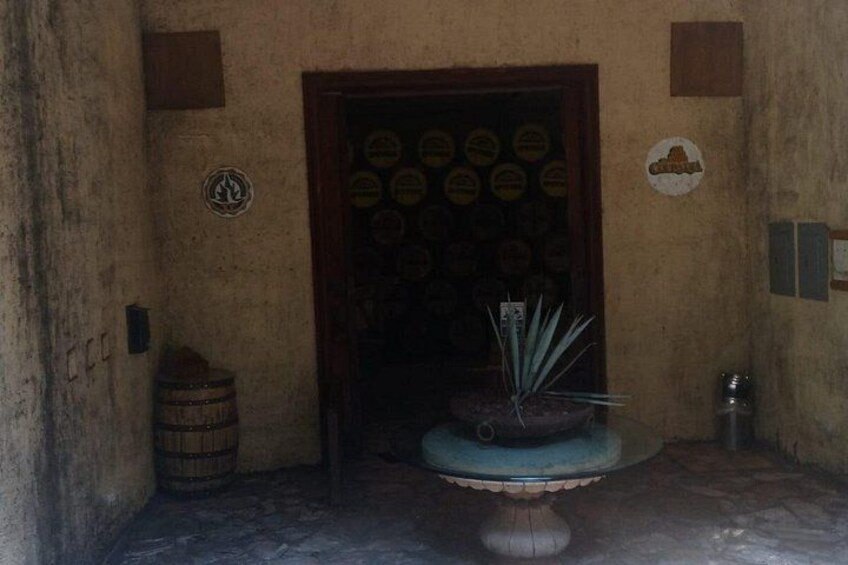 Private Tequila Tour in Guadalajara 5
