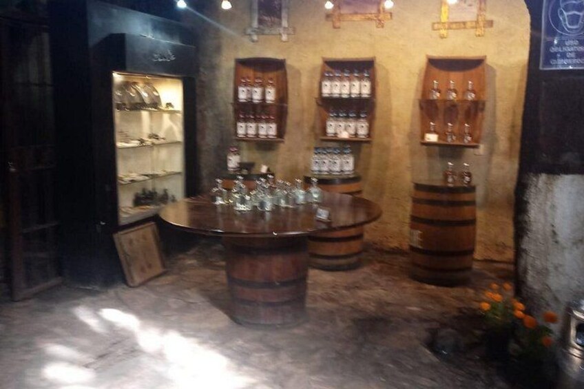 Private Tequila Tour in Guadalajara 2
