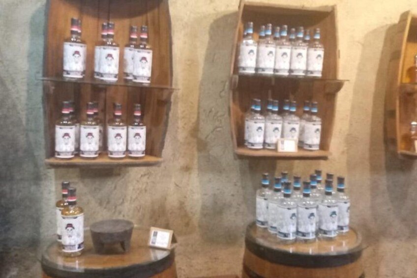 Private Tequila Tour in Guadalajara 4