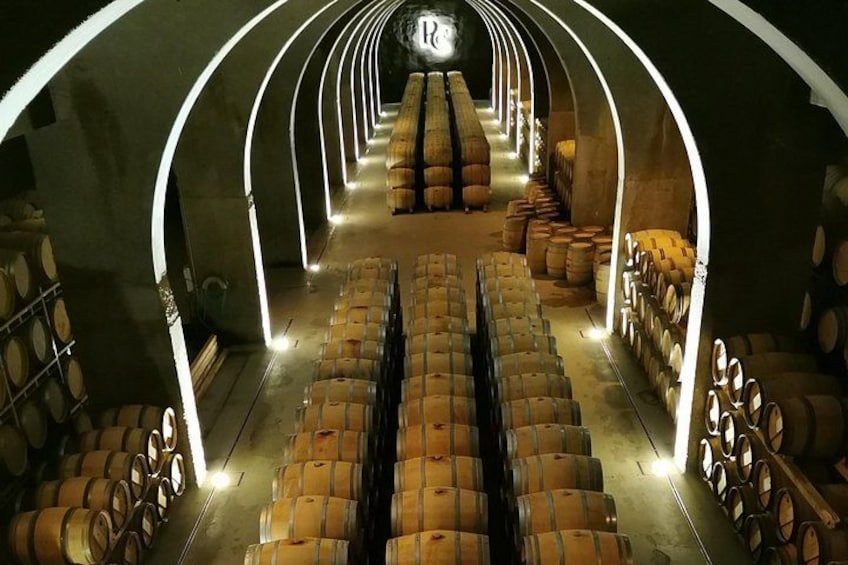Premium Tour to Ribera del Duero with Wnologist Guide 3