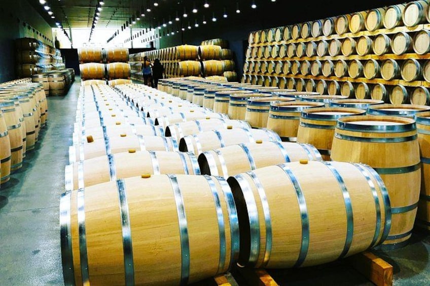 Premium Tour to Ribera del Duero with Wnologist Guide 4