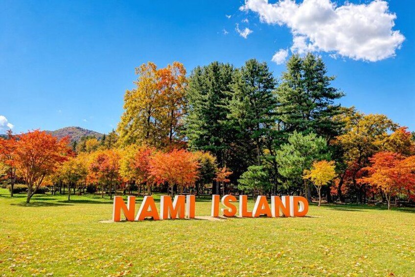 Alpaca World, Nami Island, Optional Railbike Day Trip from Seoul 3