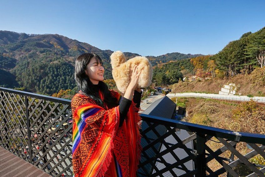 Alpaca World, Nami Island, Optional Railbike Day Trip from Seoul 2
