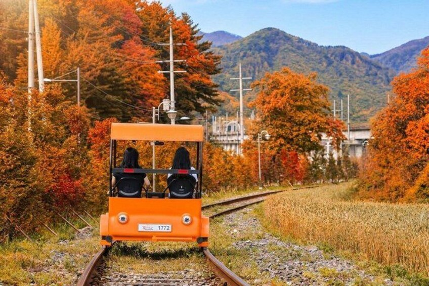 Alpaca World, Nami Island, Optional Railbike Day Trip from Seoul 2