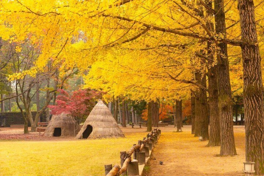 Alpaca World, Nami Island with optional Railbike Tour from Seoul 4