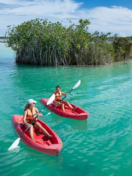 Two people kayaking on turquoise water with mangrove trees in the background. 3
