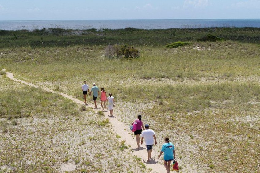 Un grupo de personas caminando por un sendero arenoso en una zona costera con césped y dunas. 4