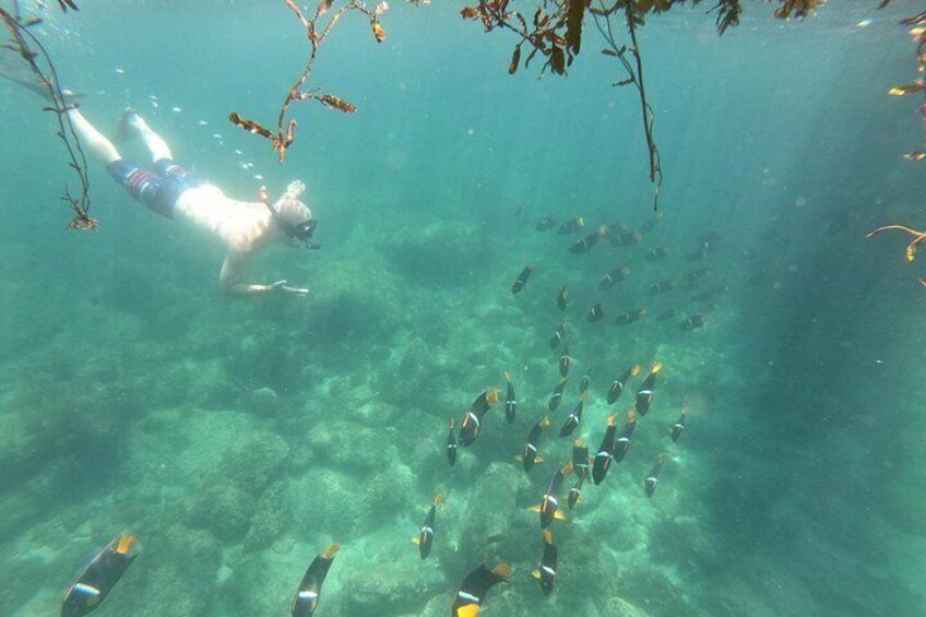 Full-Day Experience in Banderas Bay 5