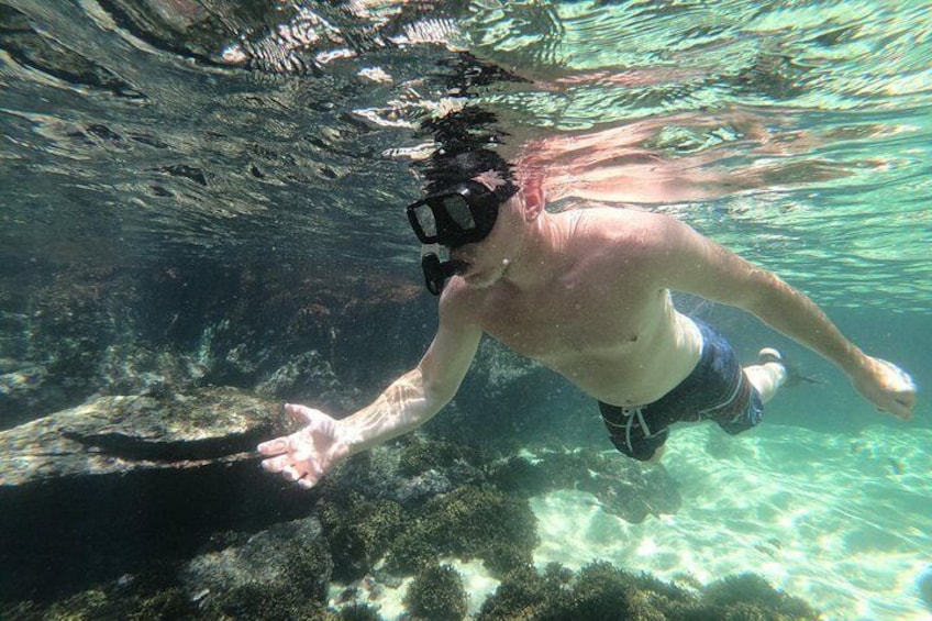 Full-Day Experience in Banderas Bay 3