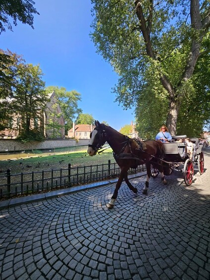 Picture 33 for Activity From Brussels: Private Tour of Bruges, Ghent and Flanders 3