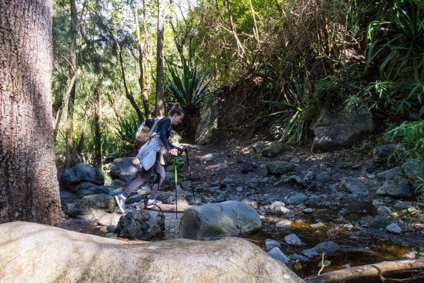 A person hiking through a rocky stream in a forested area. 3