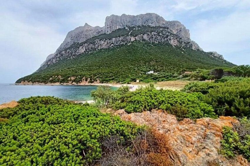 A coastal landscape with a prominent rocky mountain, dense green vegetation, and a clear blue sea. 3