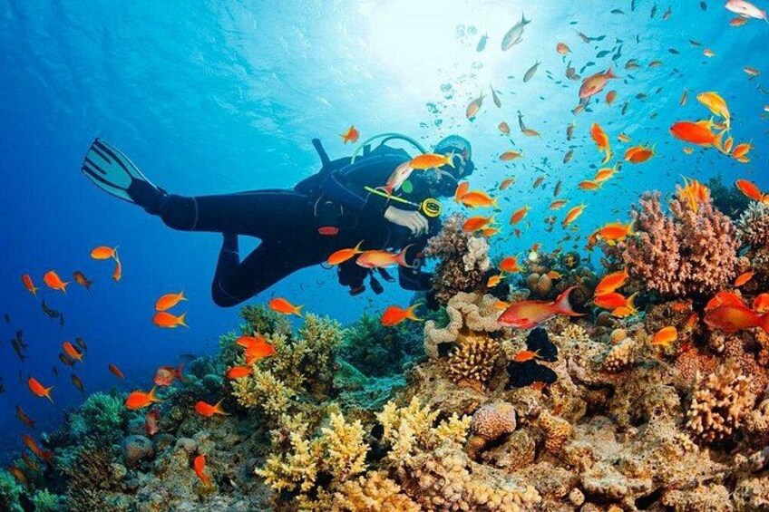 Fethiye Scuba Diving Experience By A Local Expert 5