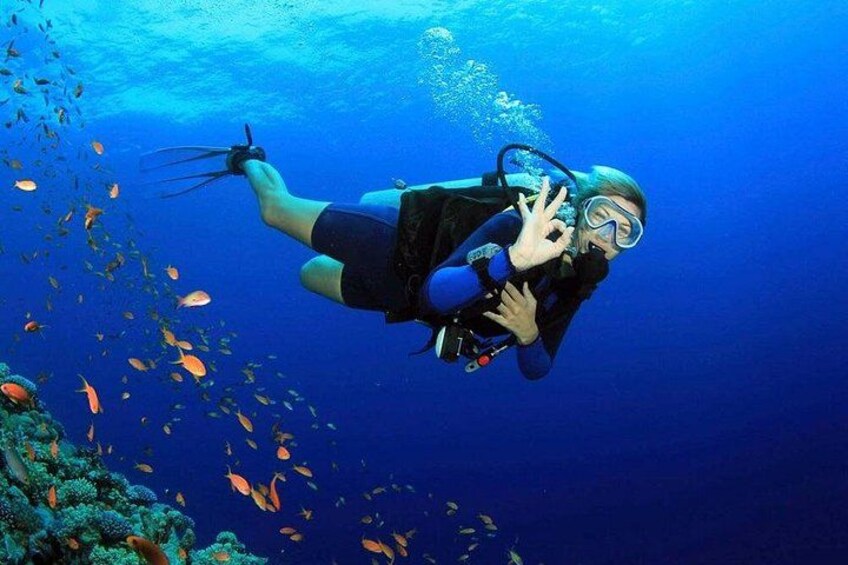Fethiye Scuba Diving Experience By A Local Expert 1