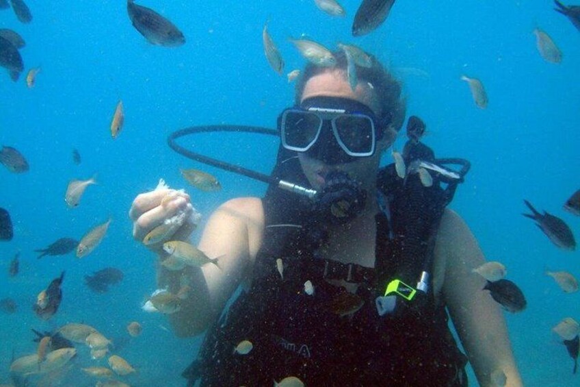 Fethiye Scuba Diving Experience By A Local Expert 3