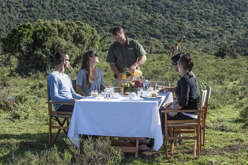 5 Day Big 7 Luxury Honeymoon Safari at Kariega: Settlers Drift 2