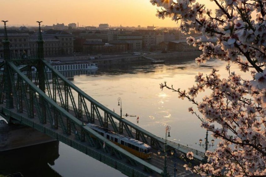 A bridge with a tram, a river, and a cityscape in the background. 2