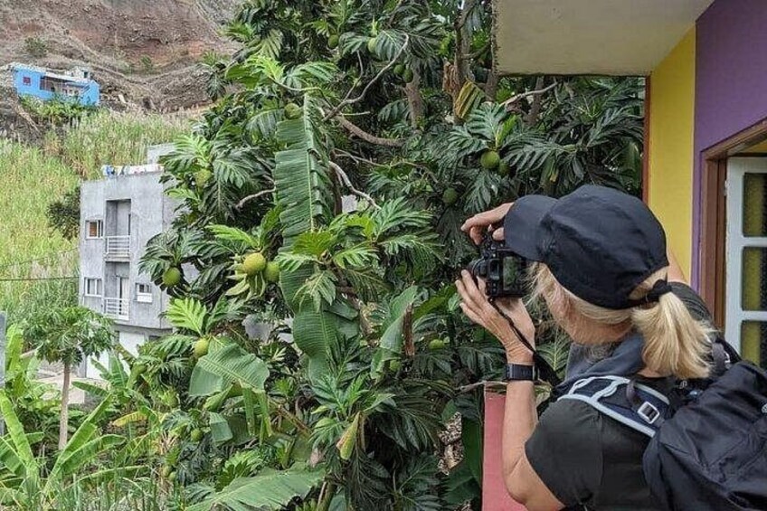 Discover the highlights of Santo Antão from Mindelo 5