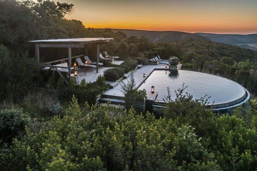 5 Day Big 5 Safari At Kariega Game Reserve & Addo Elephant Park 3