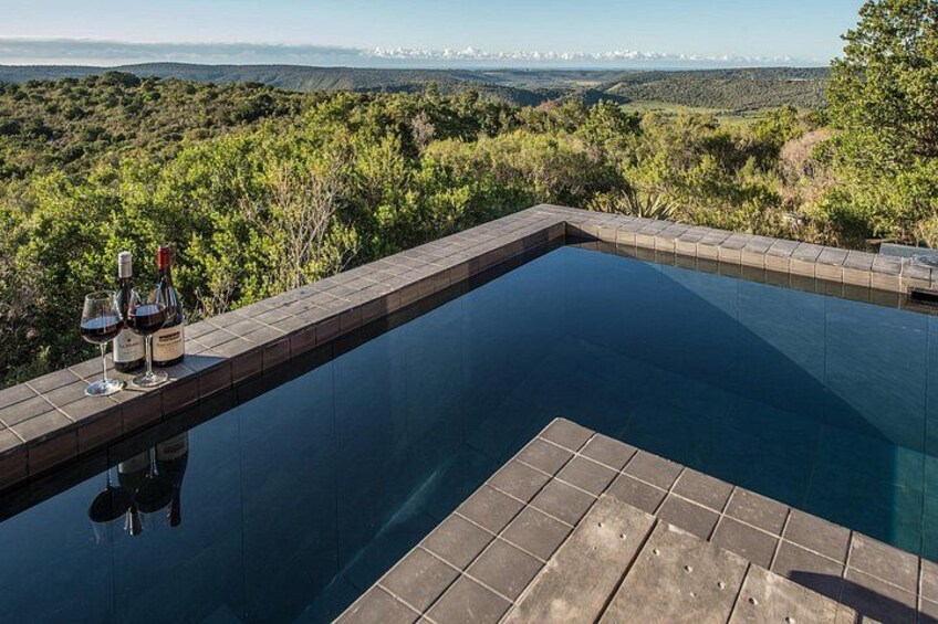 5 Day Big 5 Safari At Kariega Game Reserve & Addo Elephant Park 5
