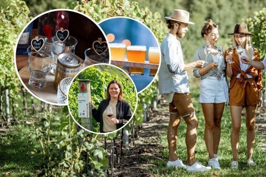 Queenstown Afternoon Gin, Wine & Beer Tour | Adults Only 1