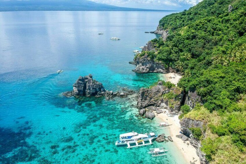 Apo Island Day Tour from Dumaguete with Lunch & Transfer 3