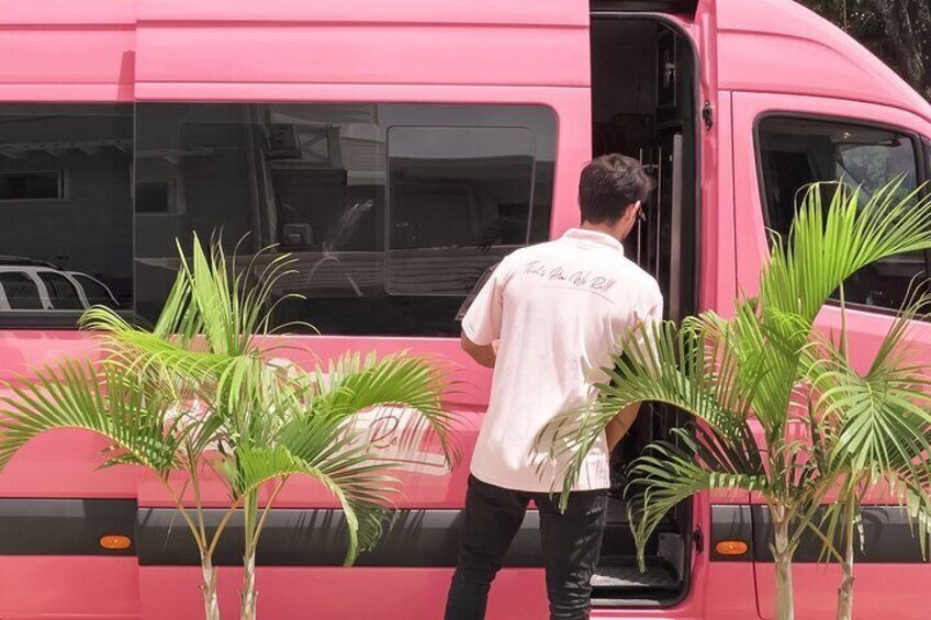 A person exiting a pink bus with palm trees in the foreground. 5