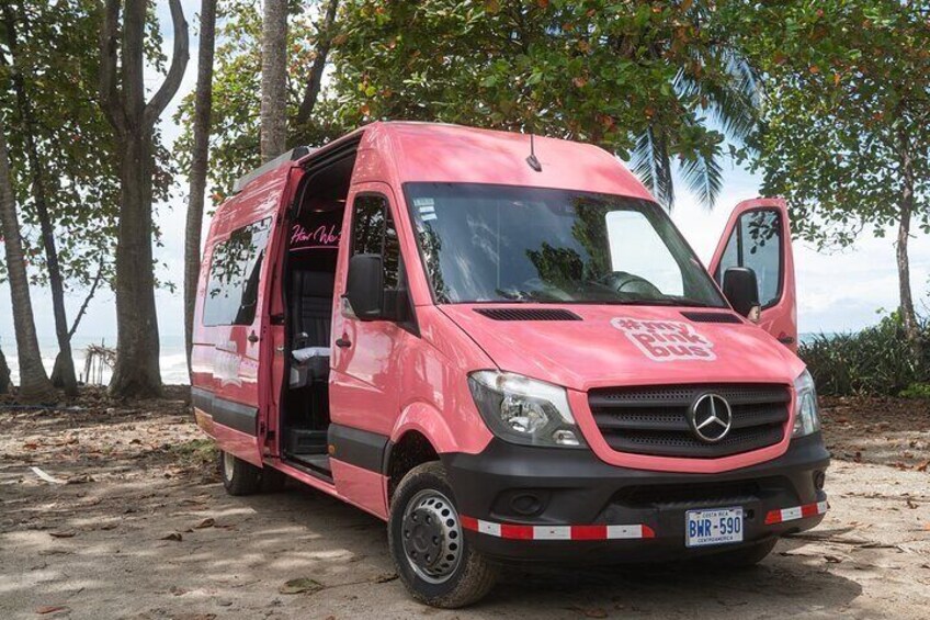A red Mercedes-Benz van parked on a dirt path with trees in the background. 1