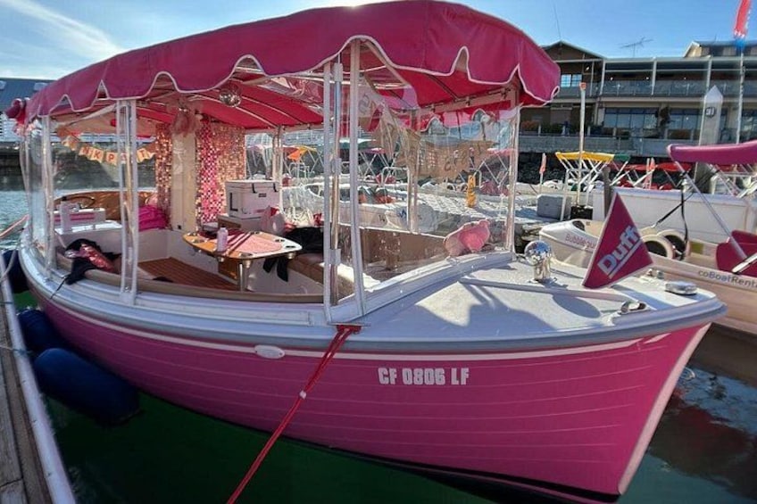 Electric Duffy Boat captained charters in San Diego area. New Pink Boats tour great choice for families with kids and couple 1