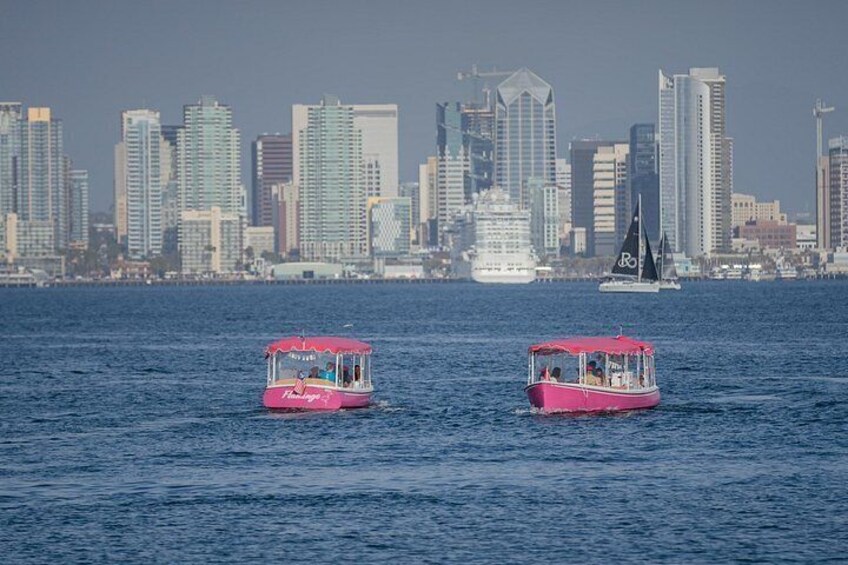 Pink Boat Private cruises in San Diego Bay. Amazing idea for Bachelorette and Birthday party celebration 2